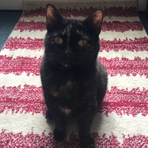 About my Items - Picture 1 of 1